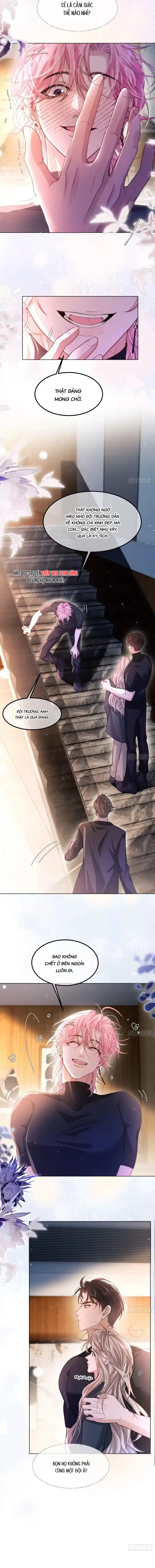 Caged Bird Chapter 6 - Trang 2