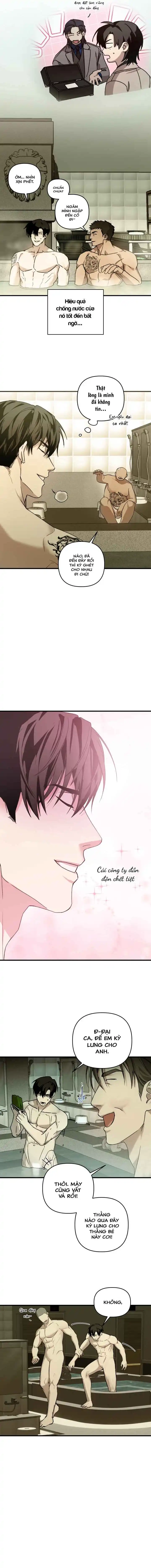 Người cố vấn hoàn hảo Chapter 1 H+++ - Trang 2