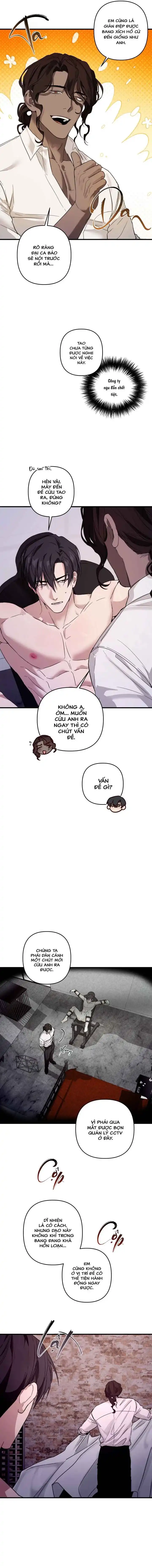 Người cố vấn hoàn hảo Chapter 2 - Trang 2