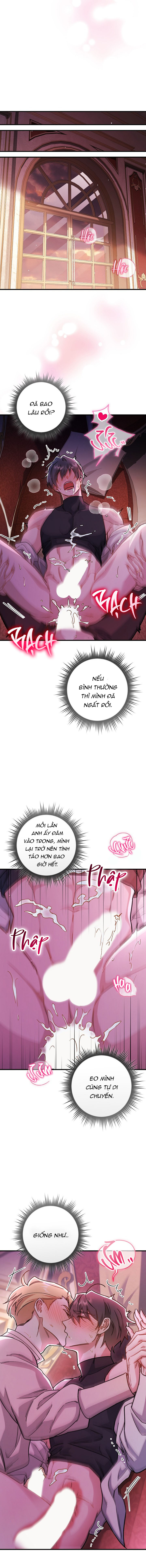 Có Chuyện Gì Nếu Tài Xế Độc Thân? Chapter 8 - Trang 2