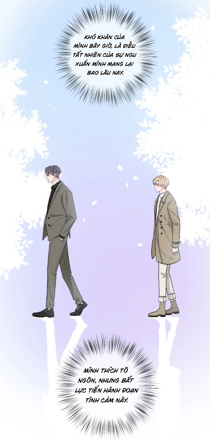 Trước Và Sau Ly Hôn! Chapter 11 - Next Chapter 12