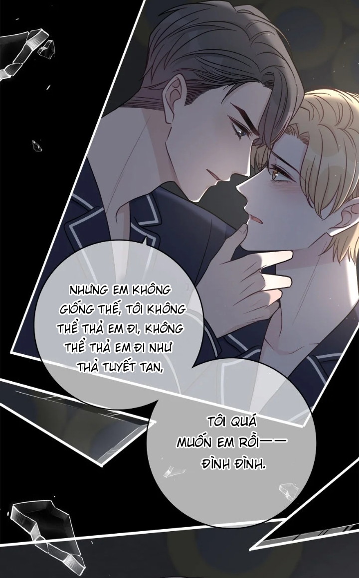 Trước Và Sau Ly Hôn! Chapter 11 - Next Chapter 12