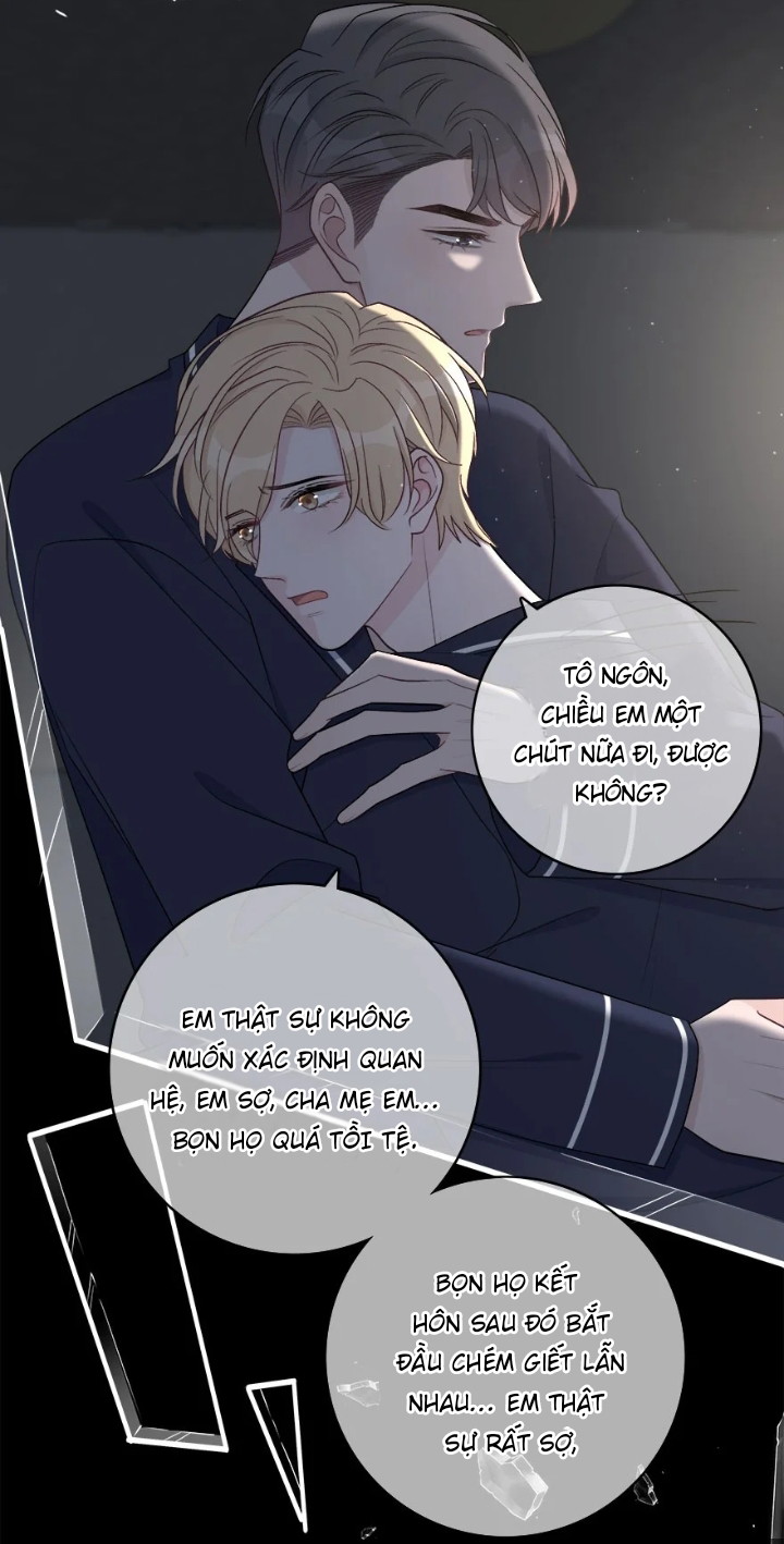 Trước Và Sau Ly Hôn! Chapter 11 - Next Chapter 12