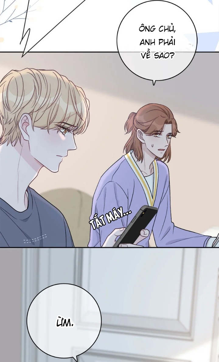 Trước Và Sau Ly Hôn! Chapter 11 - Next Chapter 12