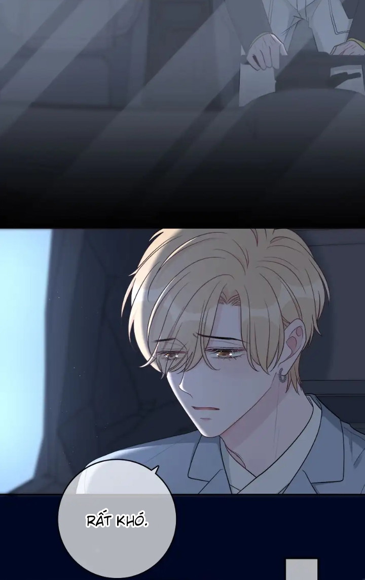 Trước Và Sau Ly Hôn! Chapter 12 - Next Chapter 13