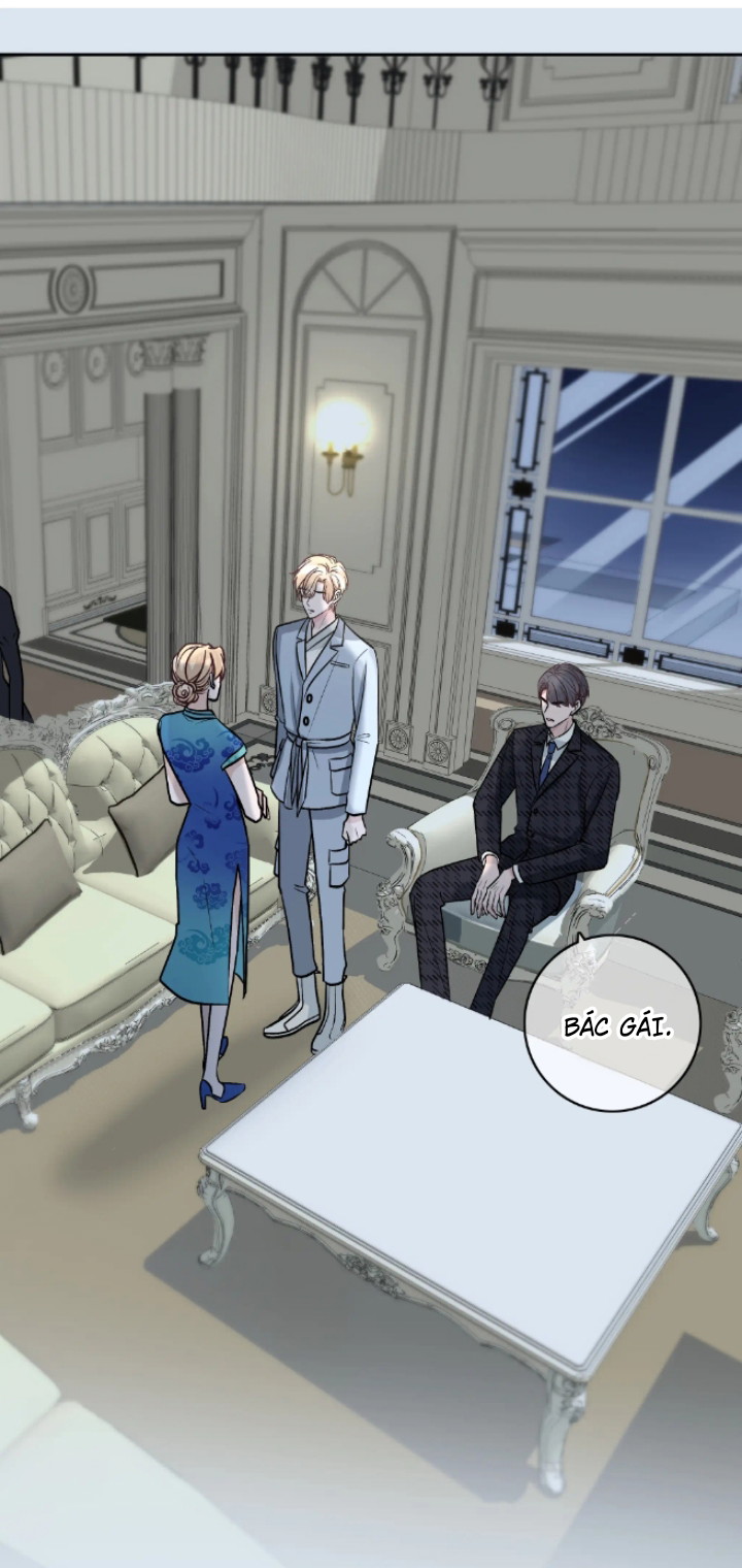 Trước Và Sau Ly Hôn! Chapter 13 - Next Chapter 14