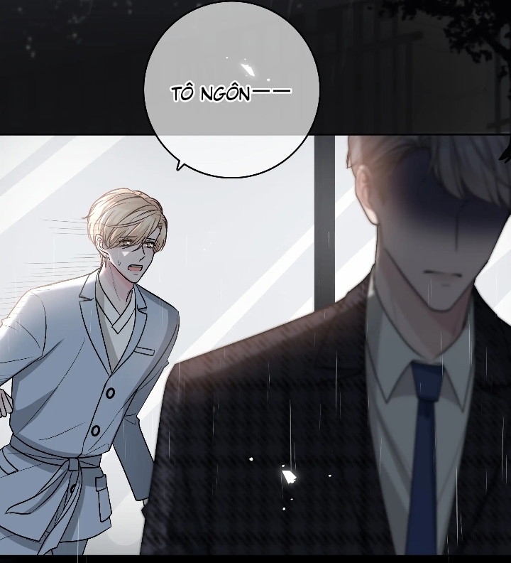 Trước Và Sau Ly Hôn! Chapter 13 - Next Chapter 14