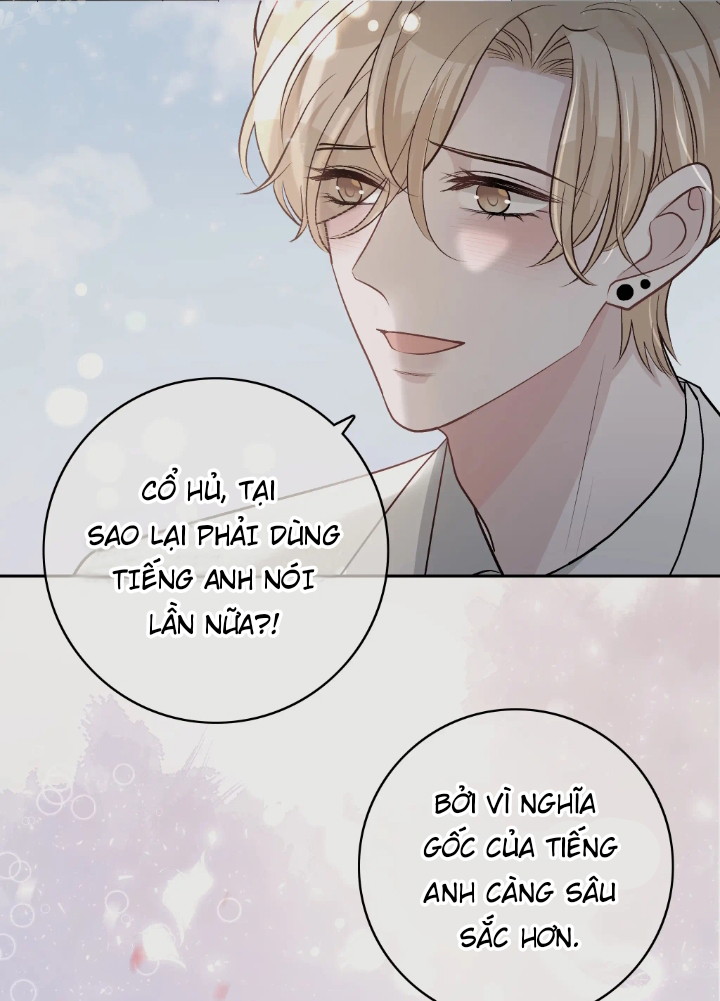 Trước Và Sau Ly Hôn! Chapter 13 - Next Chapter 14