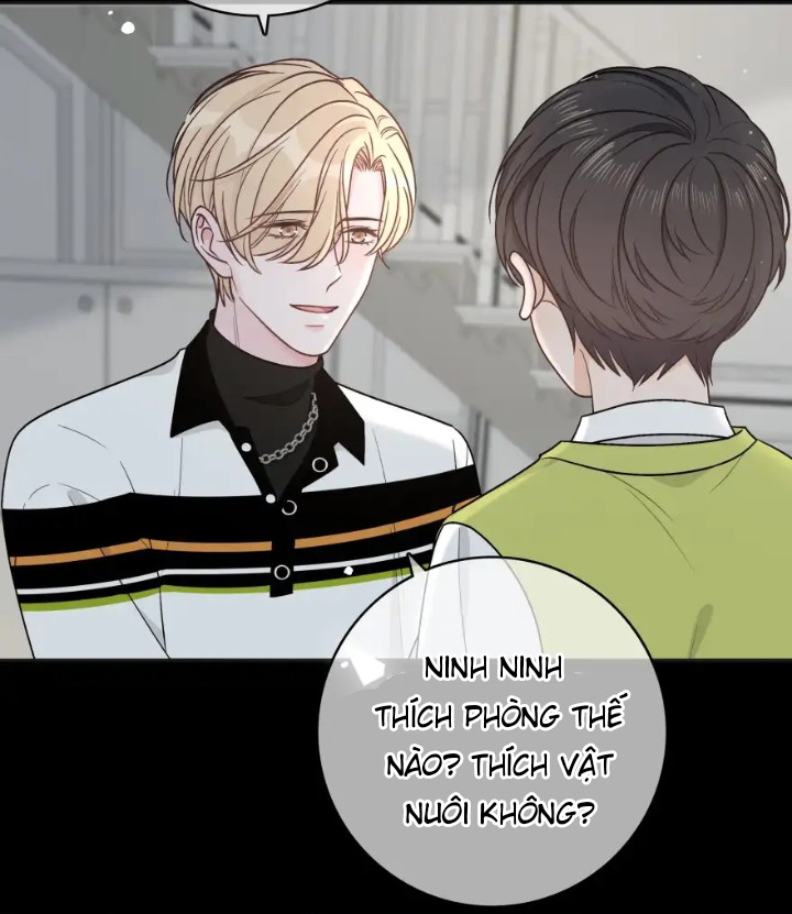 Trước Và Sau Ly Hôn! Chapter 17 - Next Chapter 18