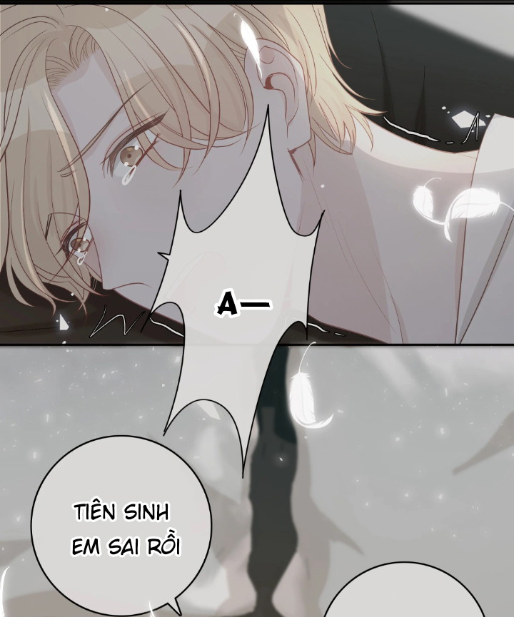 Trước Và Sau Ly Hôn! Chapter 18 - Next Chapter 19