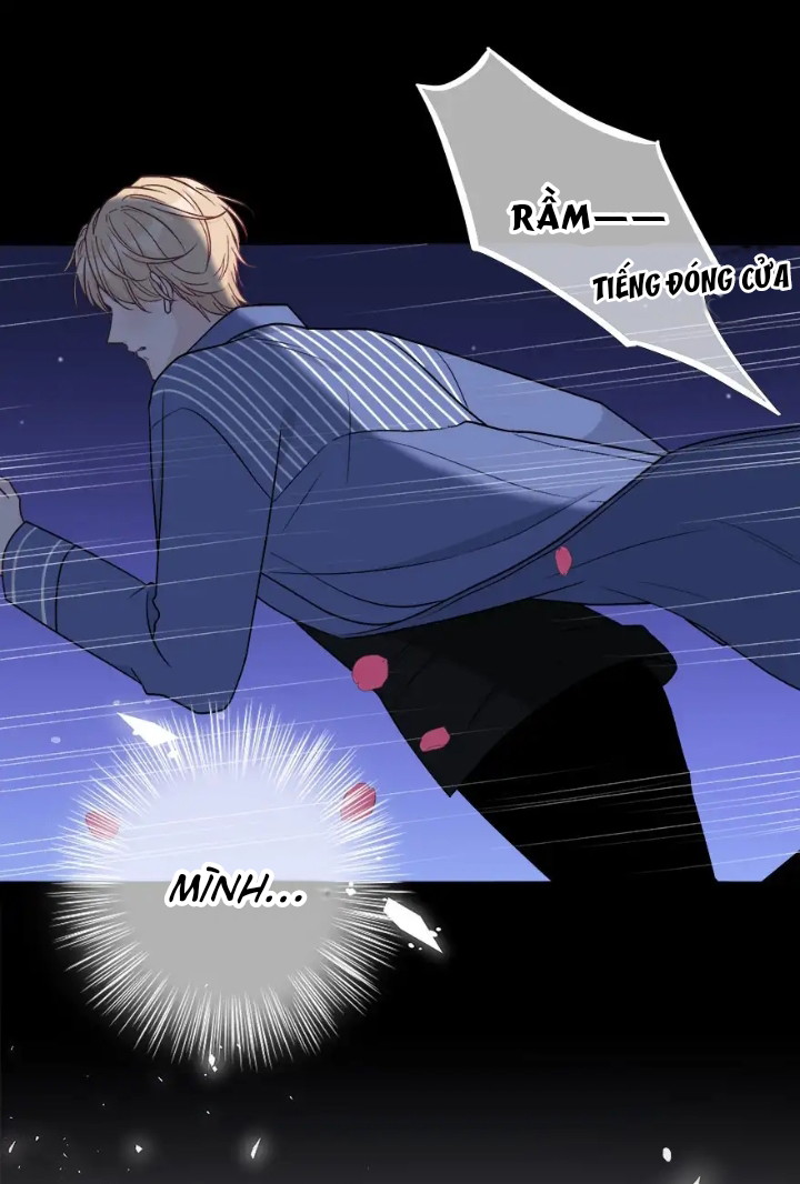 Trước Và Sau Ly Hôn! Chapter 6 - Next Chapter 7
