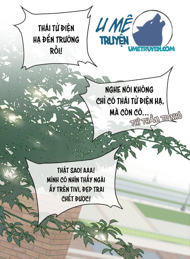 Tình Đầu Của Hoàng Thái Tử Chapter 13 - Next Chapter 14