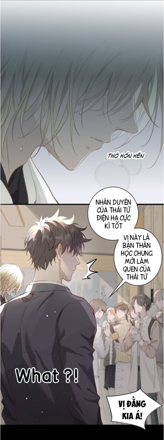 Tình Đầu Của Hoàng Thái Tử Chapter 5 - Next Chapter 6