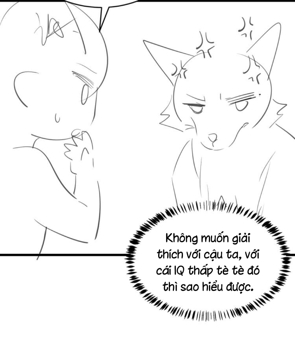Tiểu Dã Miêu Của Học Bá Thật Trêu Người Chapter 18 - Next Chapter 19