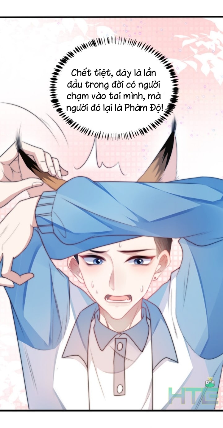 Tiểu Dã Miêu Của Học Bá Thật Trêu Người Chapter 5 - Next Chapter 6