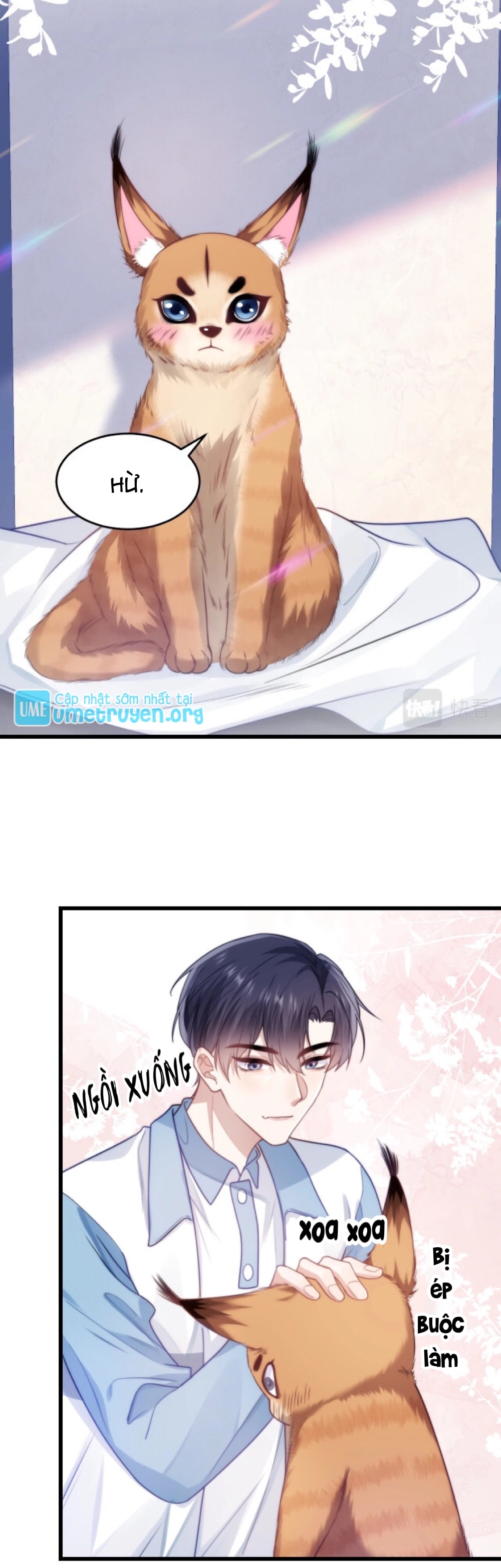 Tiểu Dã Miêu Của Học Bá Thật Trêu Người Chapter 9 - Next Chapter 10