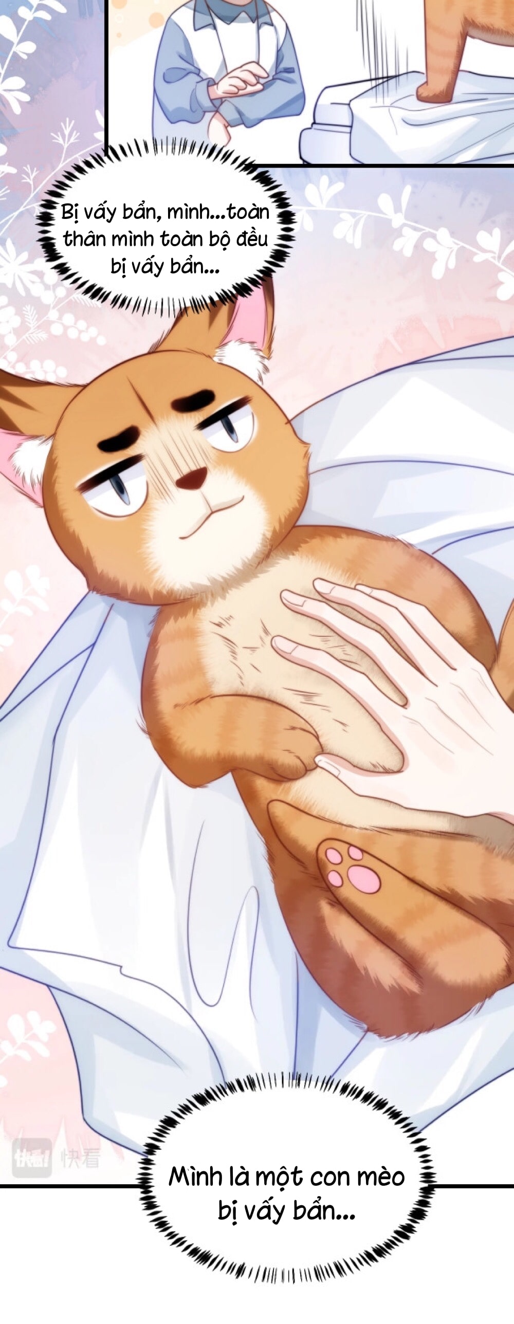 Tiểu Dã Miêu Của Học Bá Thật Trêu Người Chapter 9 - Next Chapter 10