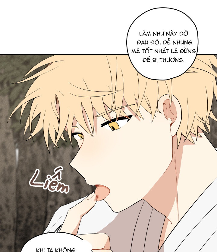 Đường hoa liên kiều rơi Chapter 20 - Next Chapter 21