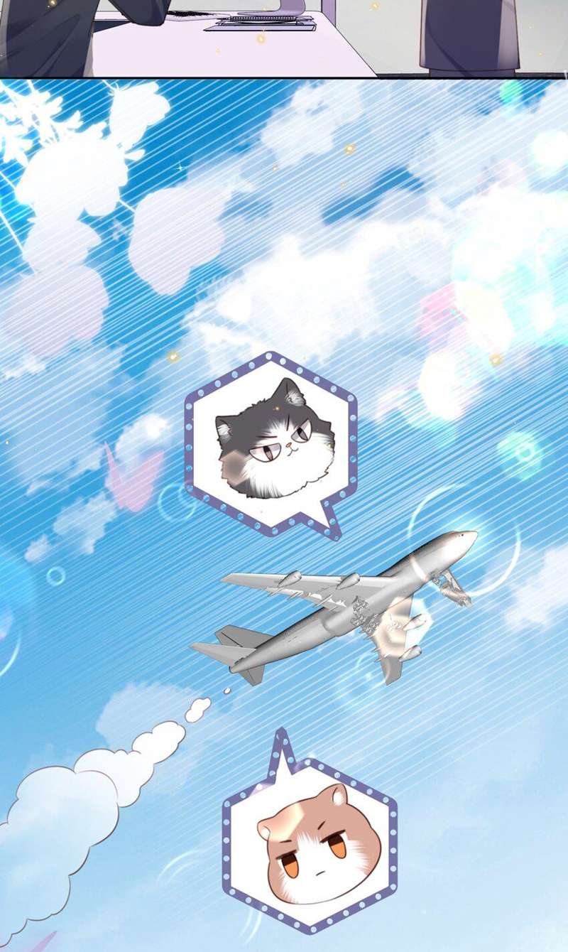 Tổng tài định chế tư nhân Chapter 58 - Next Chapter 59