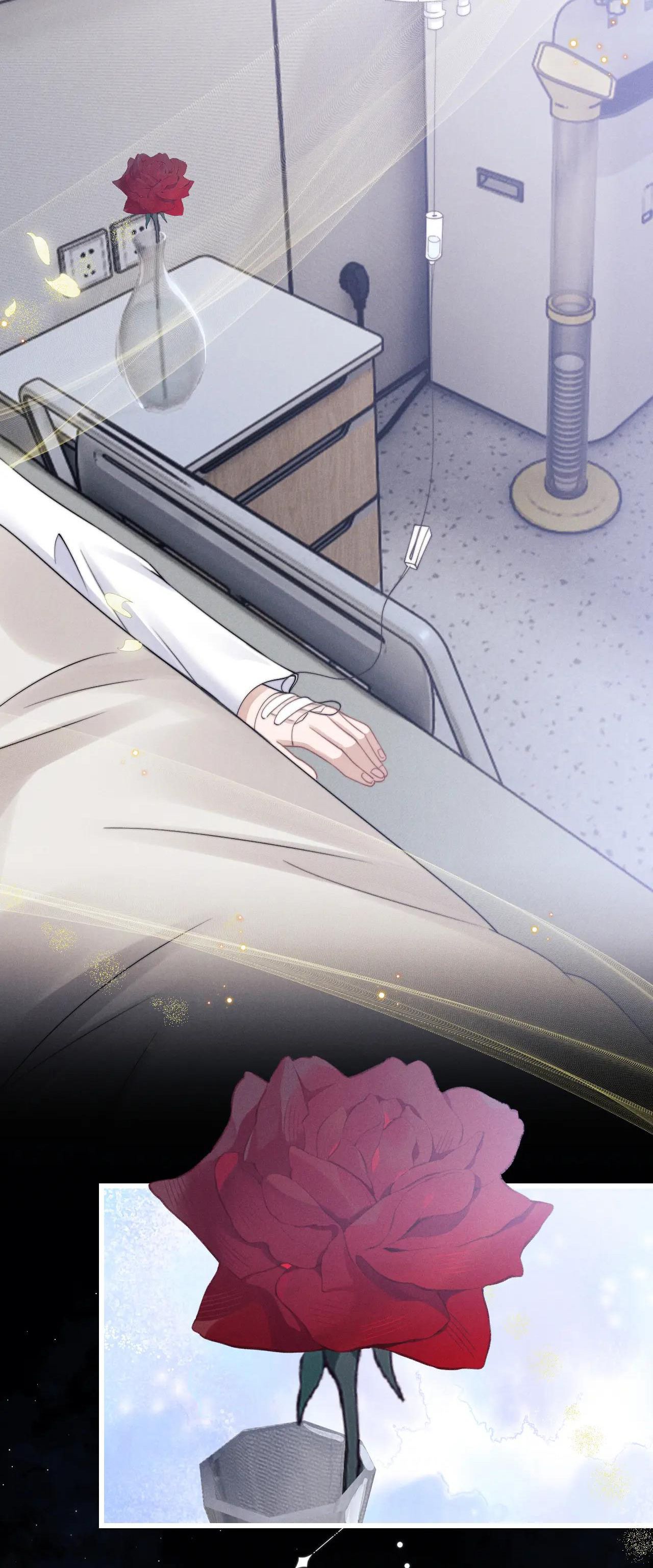 Chấp Sự Thỏ Cụp Tai Chapter 10 - Trang 4
