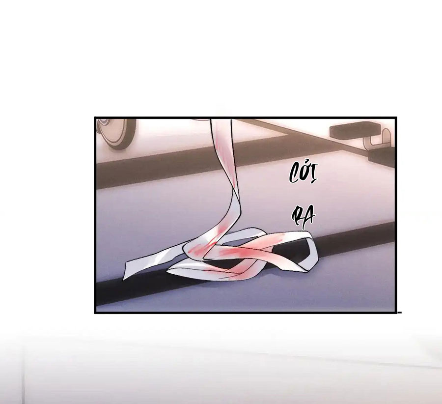 Chấp Sự Thỏ Cụp Tai Chapter 106 - Trang 4