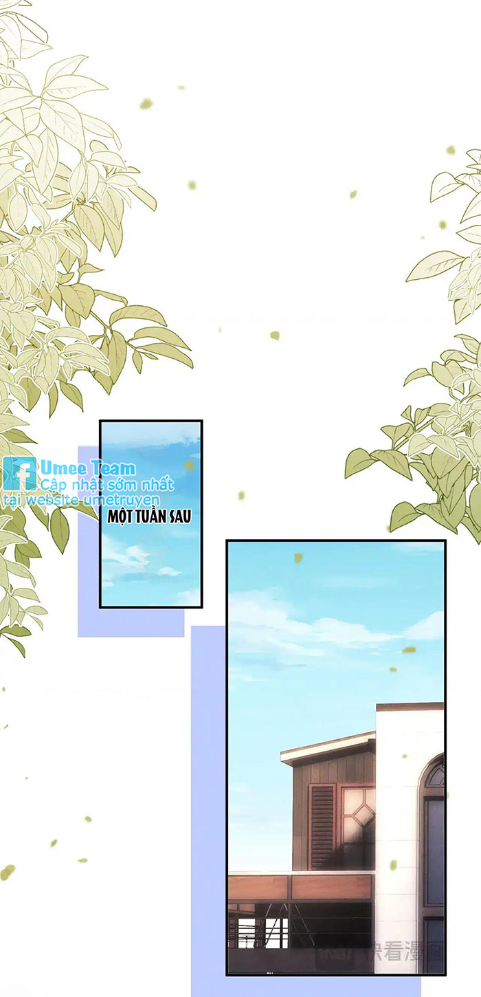 Chấp Sự Thỏ Cụp Tai Chapter 111 - Trang 4