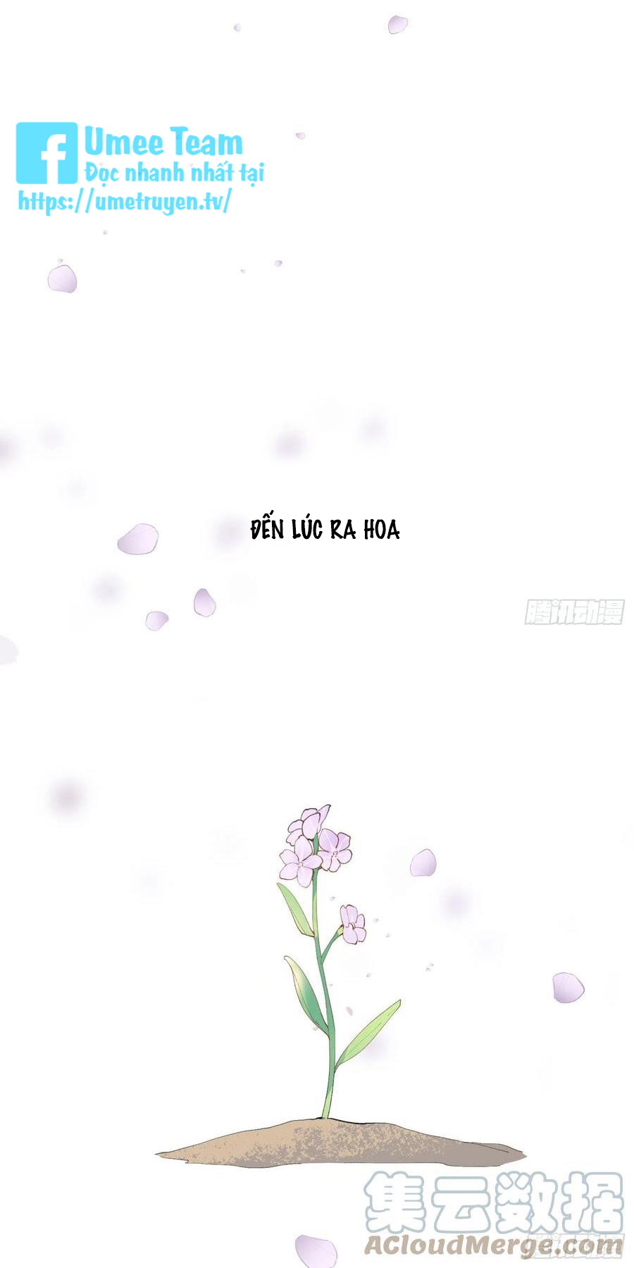 TRÒ CHƠI SĂN MỒI Chapter 3 - Next Chapter 35