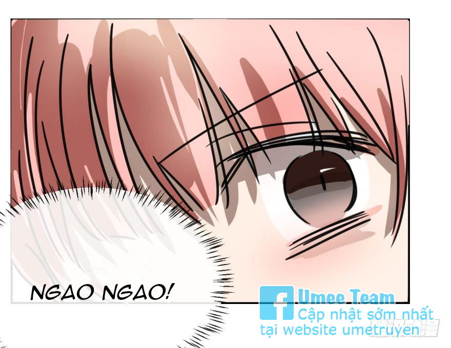 Bắt Lấy Ngao Ngao Chapter 7 - Next Chapter 8