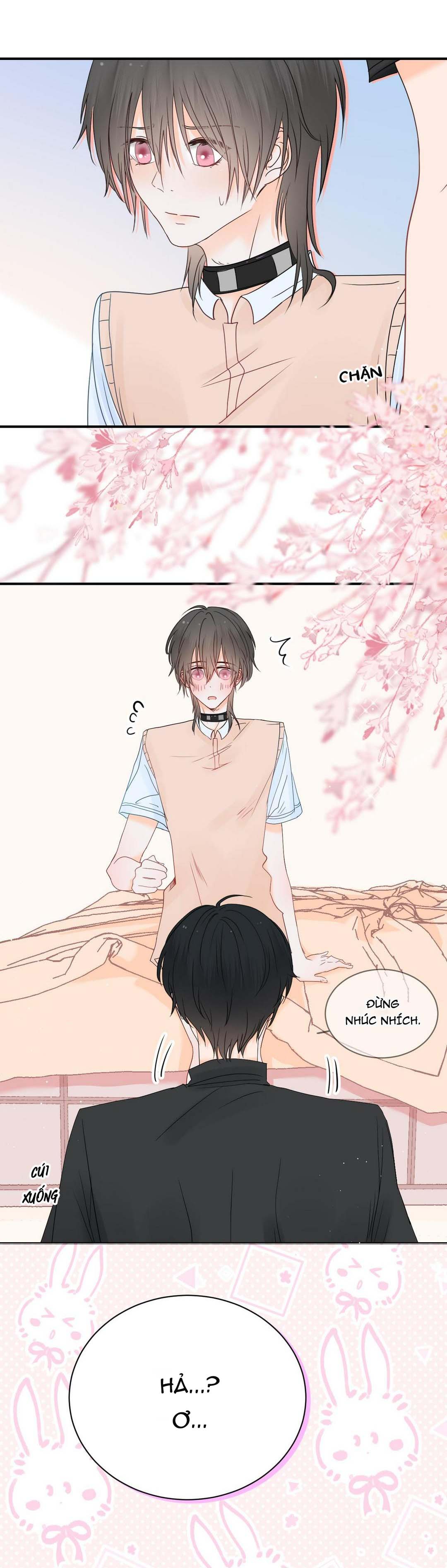 Thì ra là Thỏ tiên sinh Chapter 5 - Next 