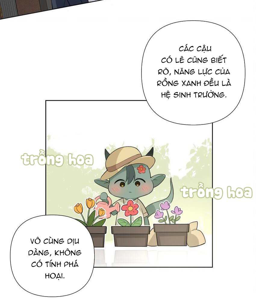 Phát Tài Nào! Hỡi Quý Ngài Ác Long Chapter 45 - Next Chapter 46