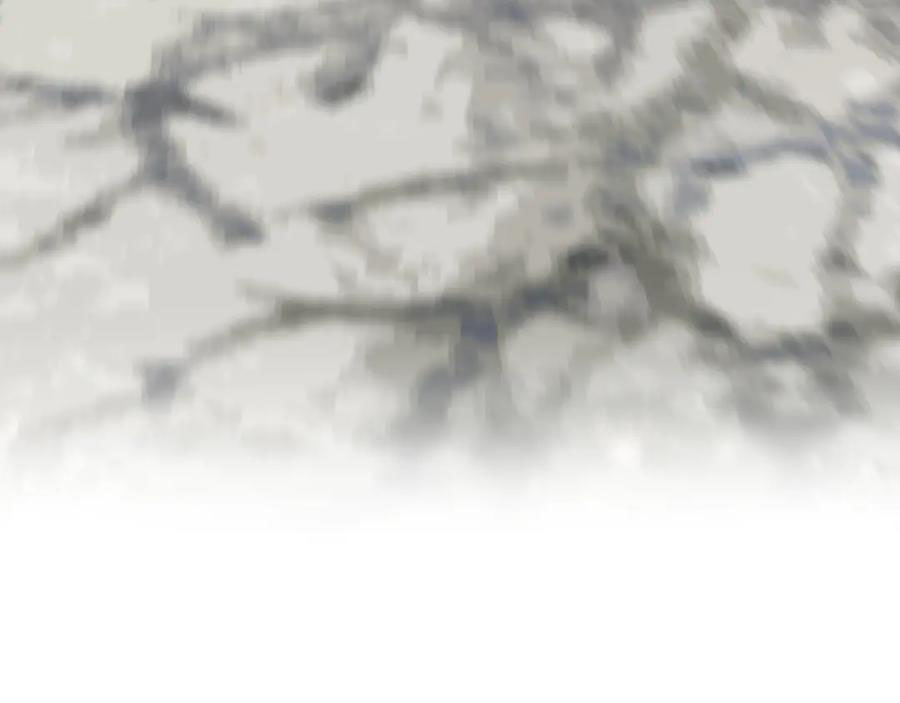 Á Nô 2: Thám Hoa Chap 81 - Trang 3