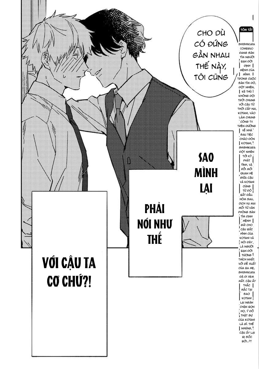 Không Thể Tin Nổi Anh Là Định Mệnh Của Tôi Chapter 7 - Next Chapter 8