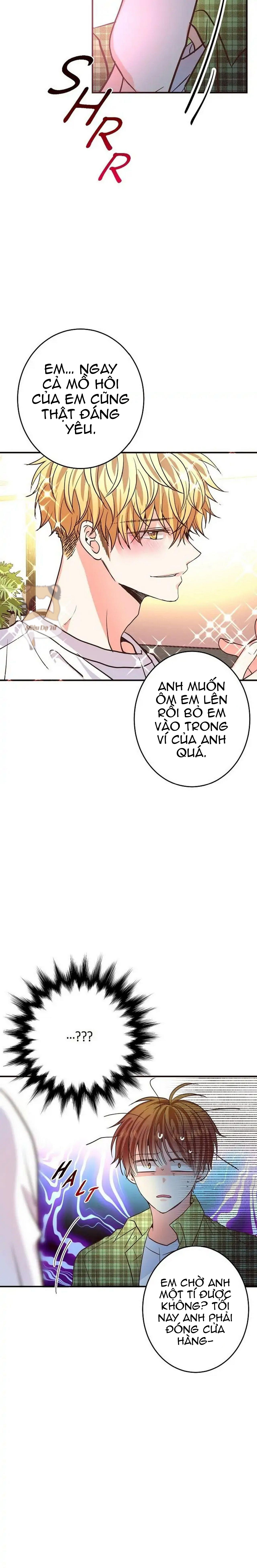 Mối quan hệ phù hợp Chapter 20 - Next Chapter 21