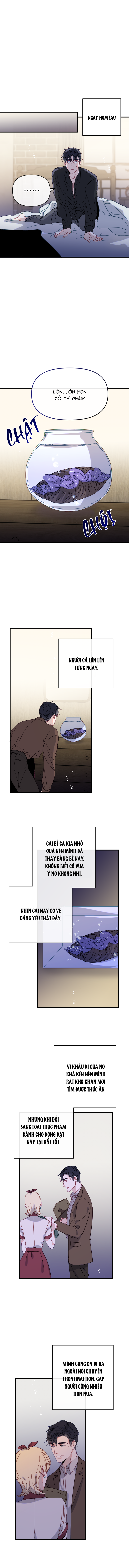 Chàng tiên cá trên cạn Chapter 1 - Next 