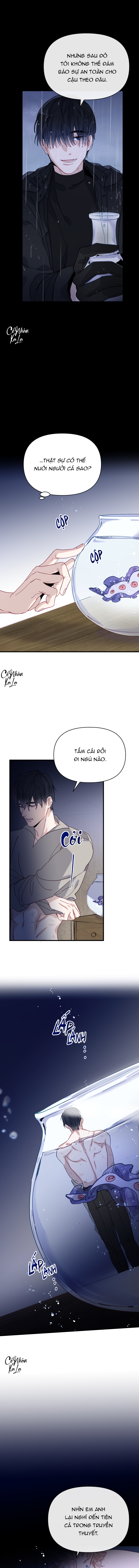 Chàng tiên cá trên cạn Chapter 1 - Next 