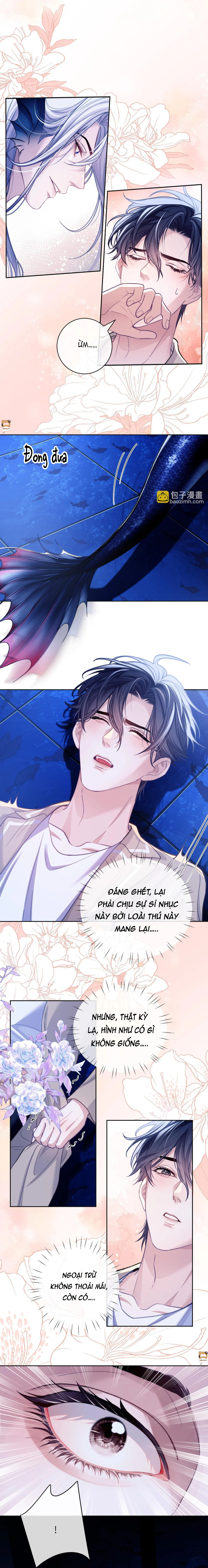 Desharow Nhân Ngư Chapter 17 - Next Chapter 18