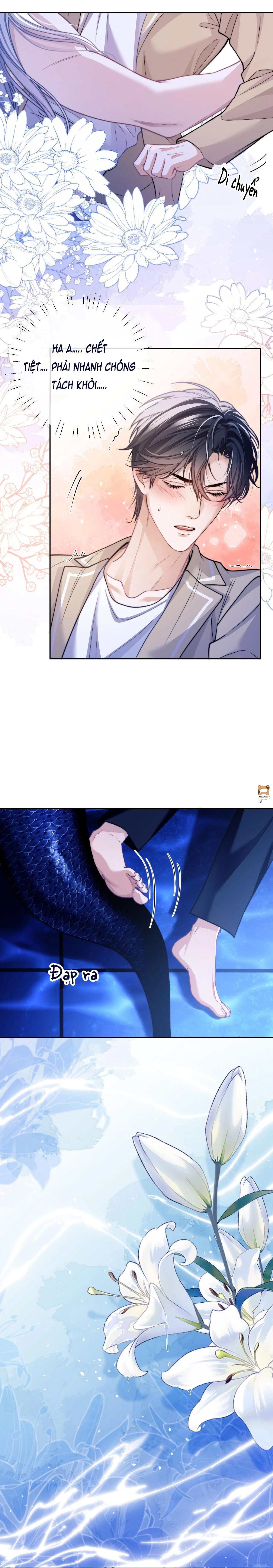Desharow Nhân Ngư Chapter 17 - Next Chapter 18