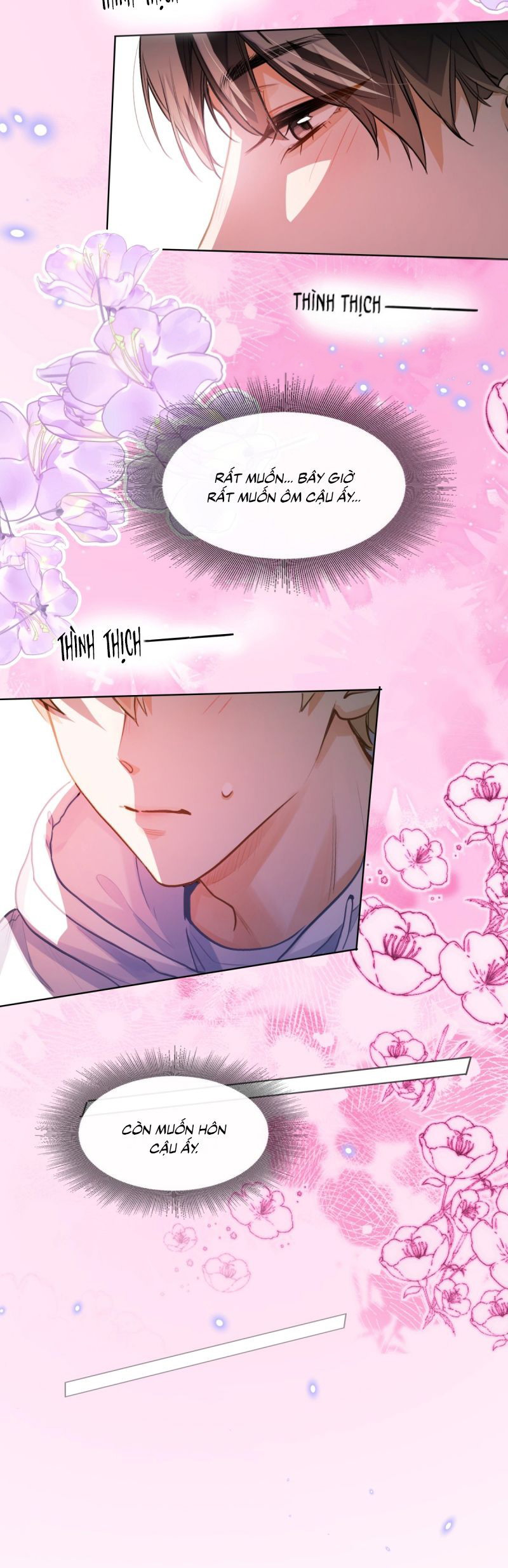 Tôi Thích Tin Tức Tố Của Cậu Chap 76 - Trang 4