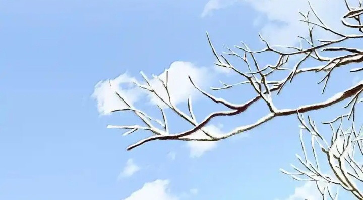 Tôi Thích Tin Tức Tố Của Cậu Chap 79 - Trang 4