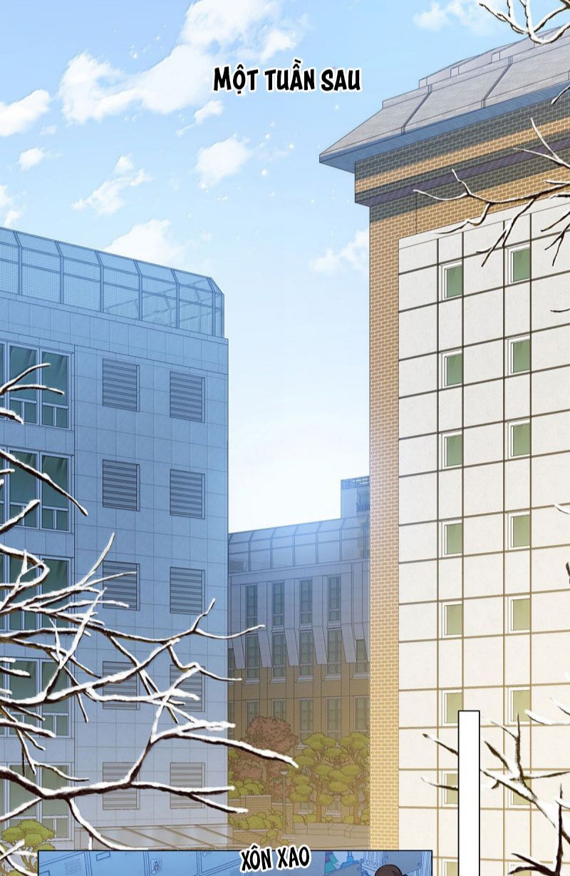 Tôi Thích Tin Tức Tố Của Cậu Chap 79 - Trang 4