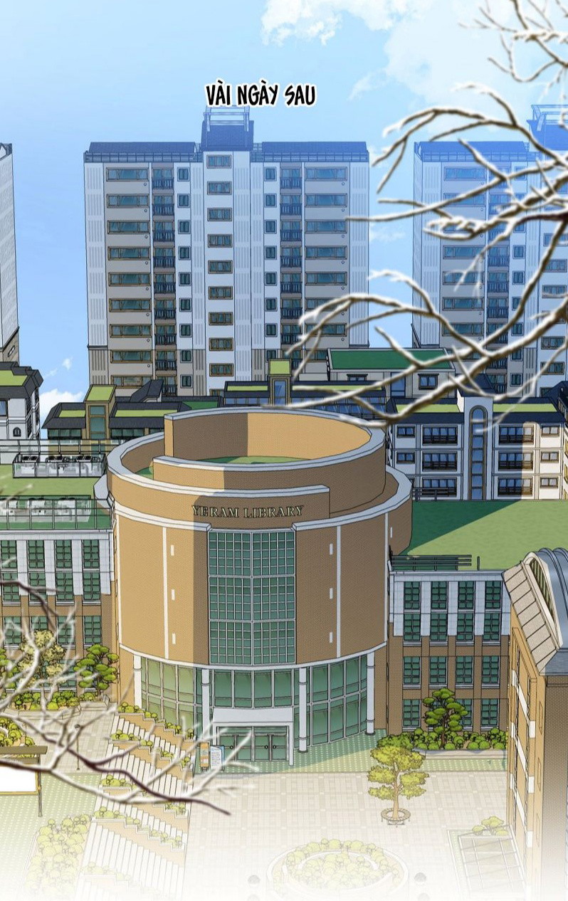 Tôi Thích Tin Tức Tố Của Cậu Chap 81 - Trang 4