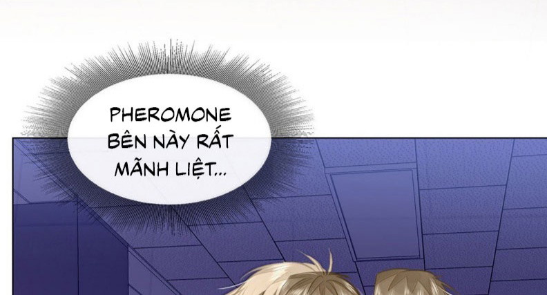 Tôi Thích Tin Tức Tố Của Cậu Chap 82 - Trang 4