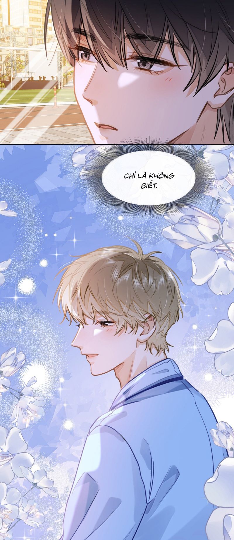 Tôi Thích Tin Tức Tố Của Cậu Chap 85 - Trang 4