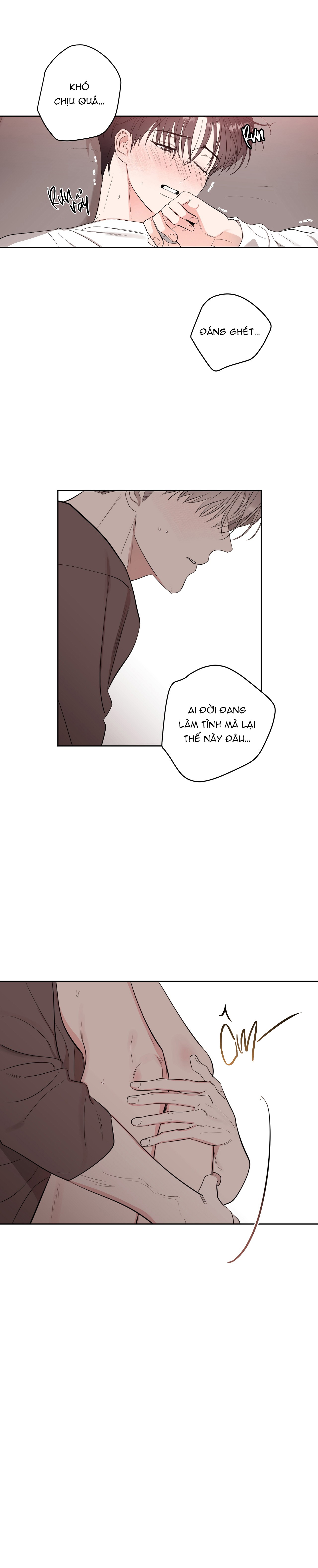 Ngôi Sao Vụt Sáng Ngoại Truyện 8 - H++ - Trang 2