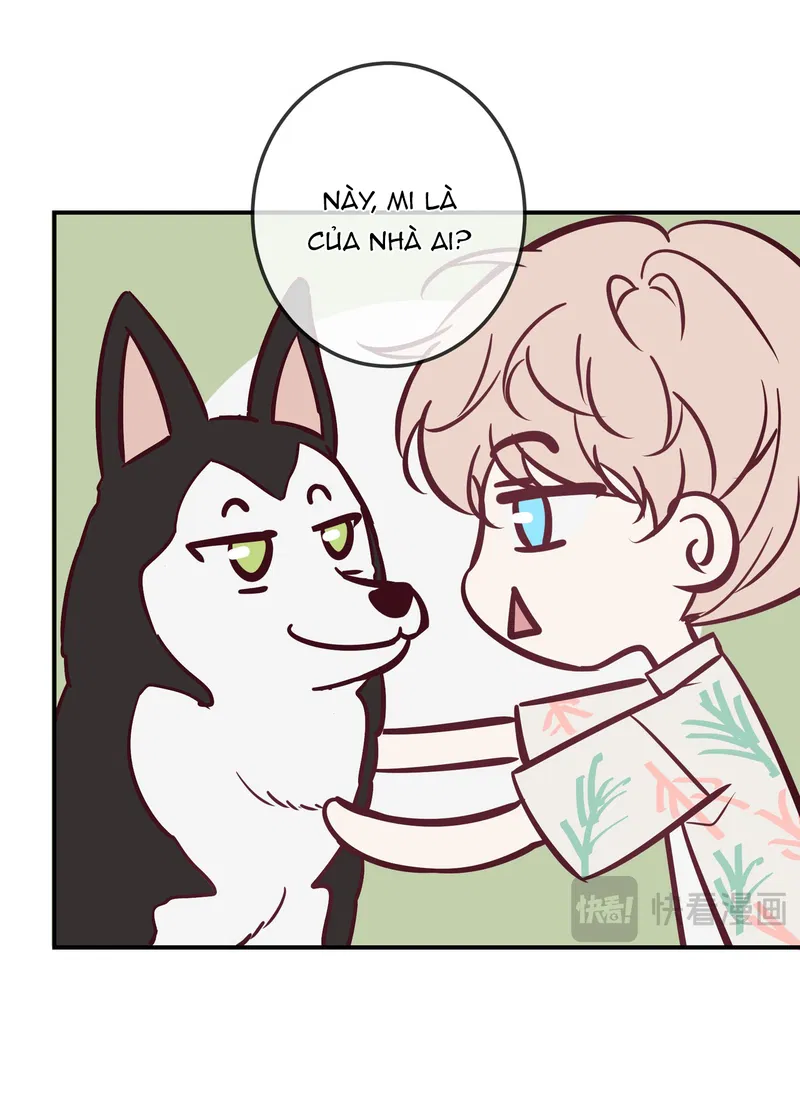 Đêm Cuồng Say Phiên Ngoại (8) - Next Chapter 1
