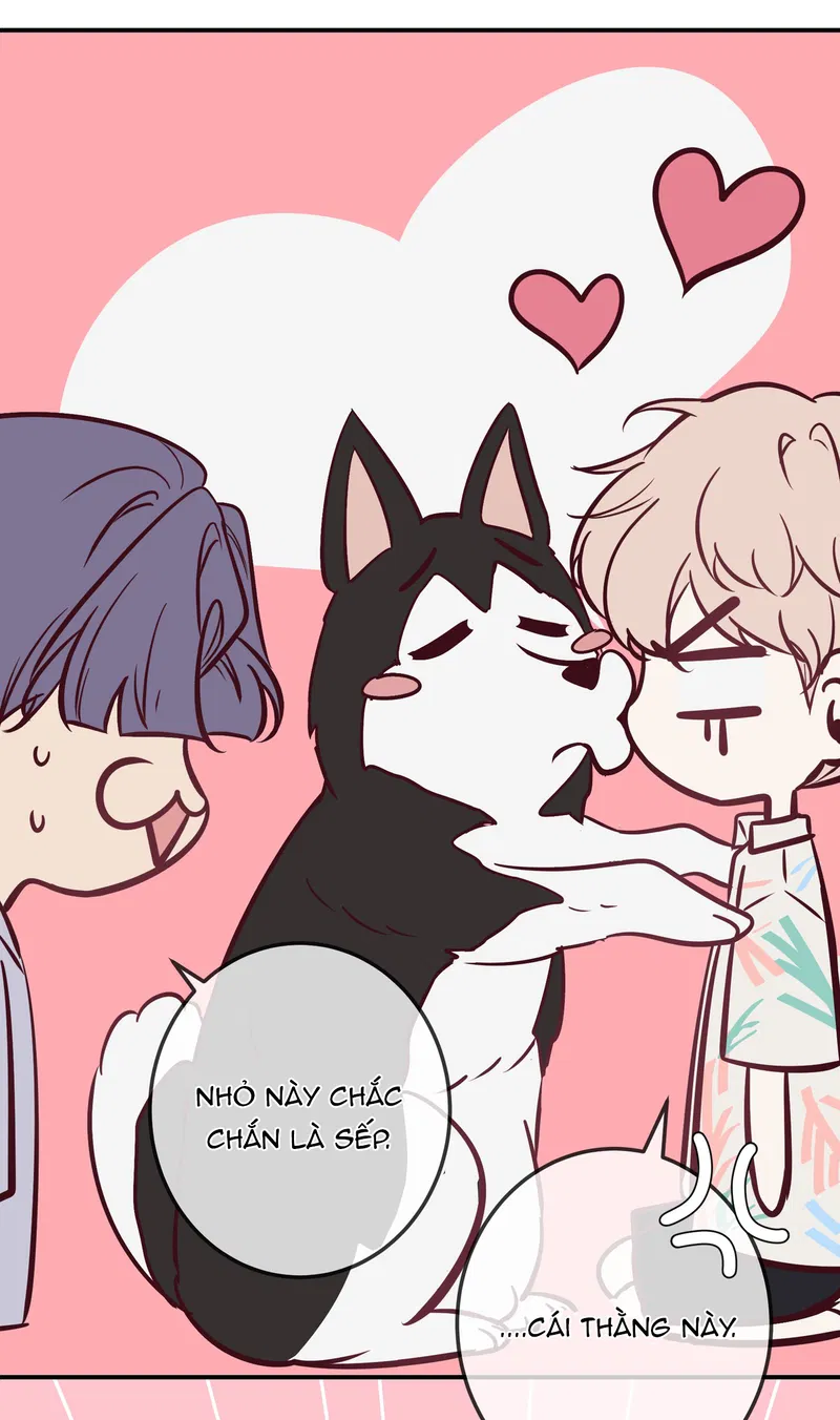 Đêm Cuồng Say Phiên Ngoại (8) - Next Chapter 1