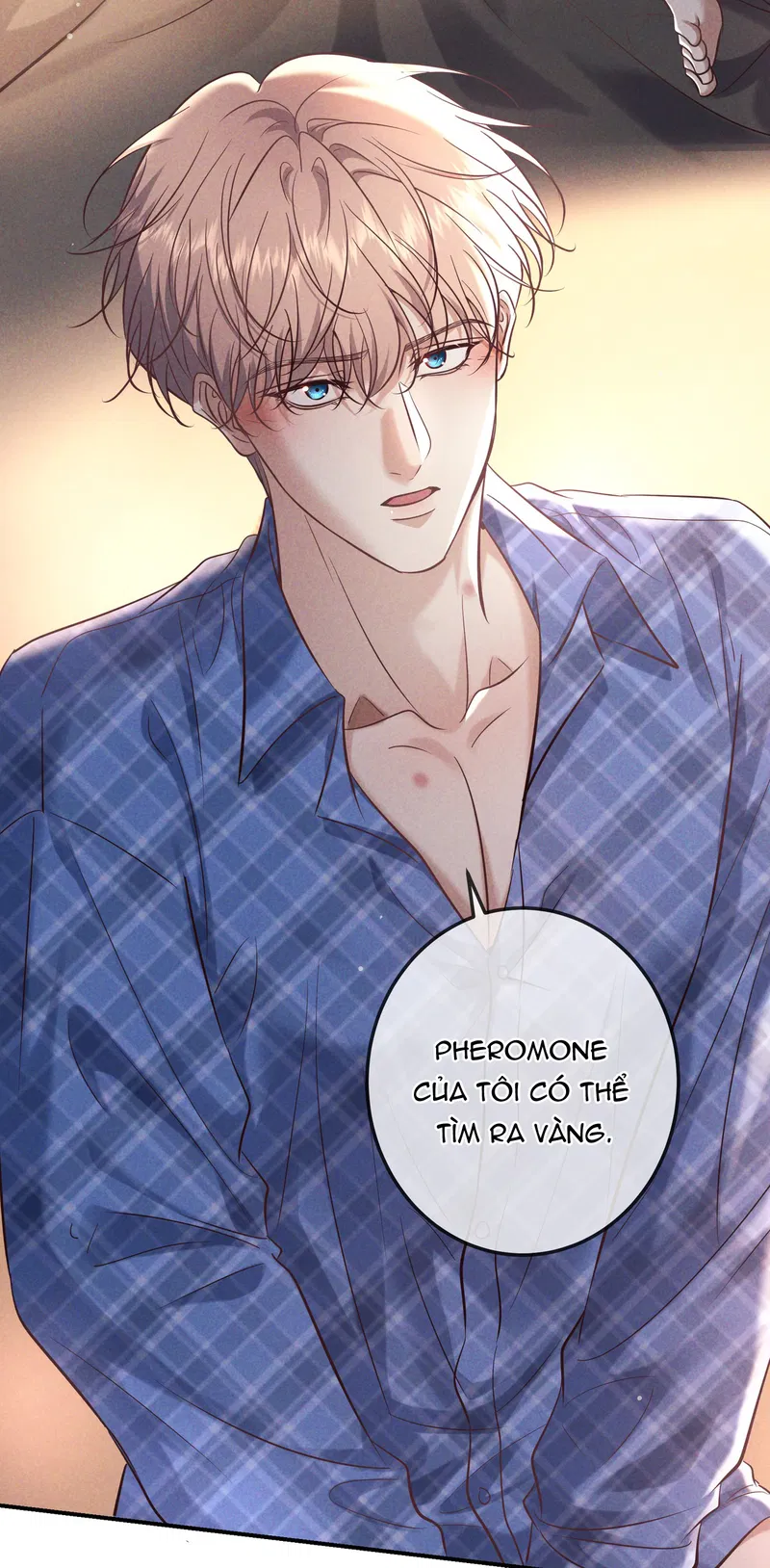 Đêm Cuồng Say Chapter 81 - Trang 2