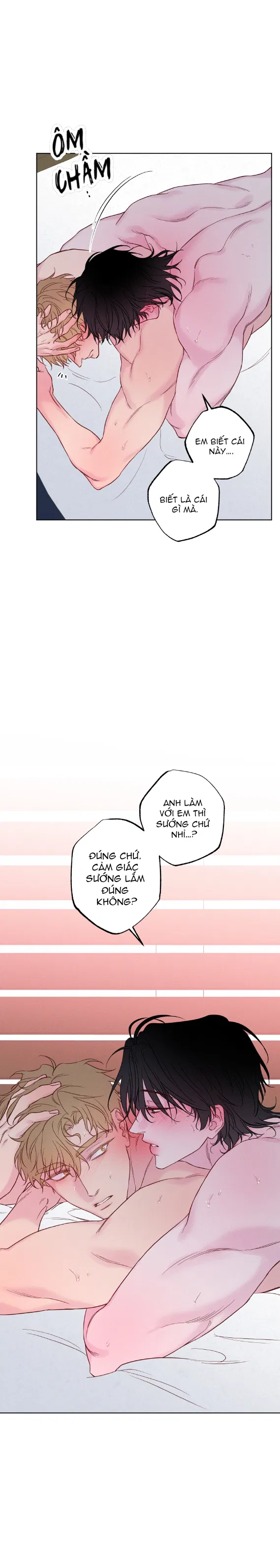 Thanh Âm Sóng Vỗ Chapter 33 - H+ - Trang 2