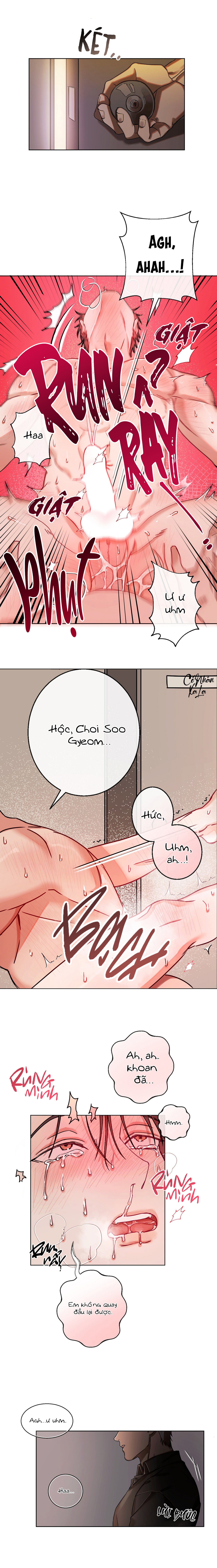 Đại ca của tôi Chapter 0.1 - Next Chapter 1