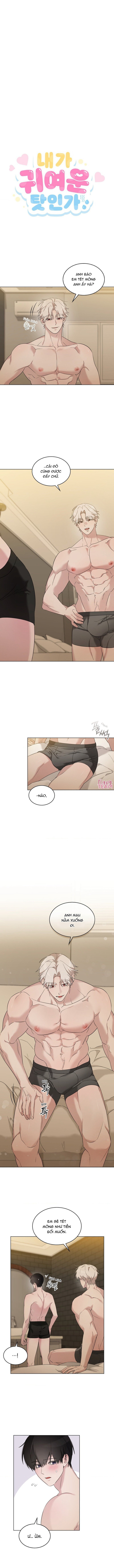 Là bởi vì tôi dễ thương à Chapter 22 - Next 